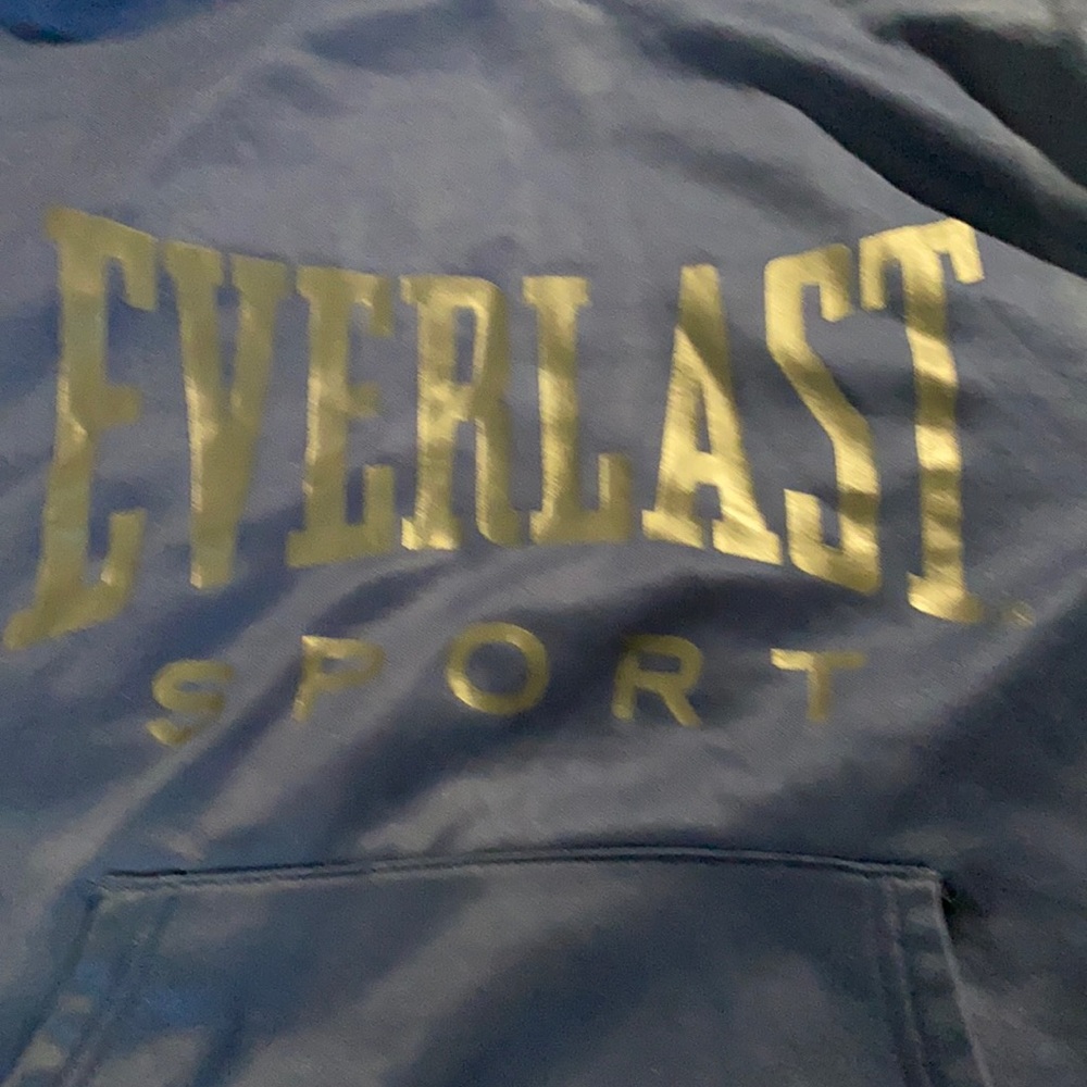 everlast sport hoodie